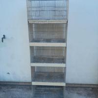 gabbie per uccellini