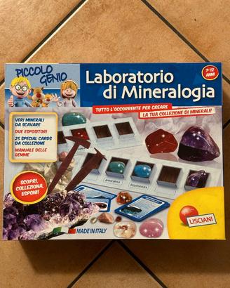 Gioco Laboratorio di mineralogia Piccolo Genio