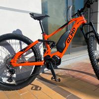 Mtb elettrica Olmo