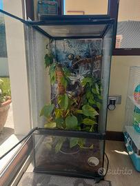 TERRARIO PER RETTILI ED ANFIBI