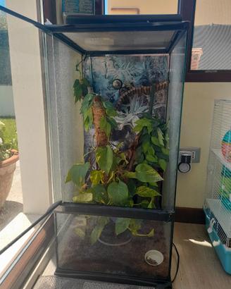 TERRARIO PER RETTILI ED ANFIBI