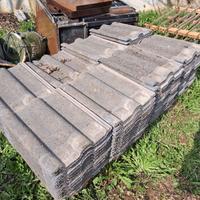 Tagole wierer romana