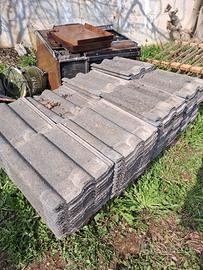 Tagole wierer romana