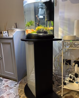 Acquario Tetra AquaArt Explorer Line 30 lt