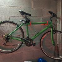 Bicicletta Mountain Bike