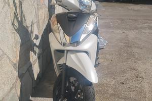 SH 300i