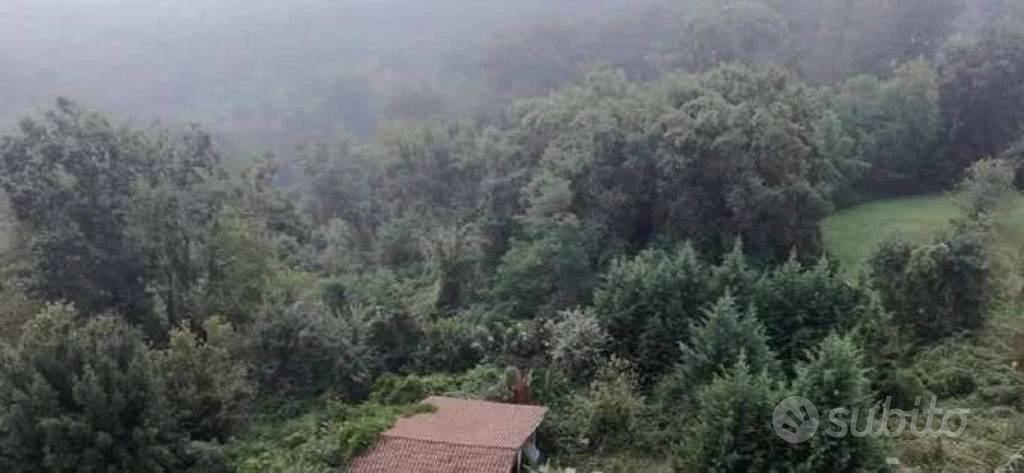 Immobile in asta di 10942 m² a Montafia - Vista 3