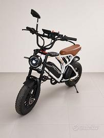Bici elettrica