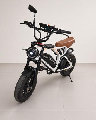Bici elettrica