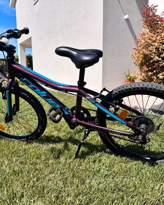 Bicicletta bambino 20