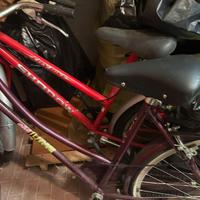 Due biciclette perchè inutilizzate