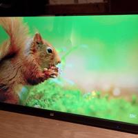 Touch monitor ViewSonic TD2230