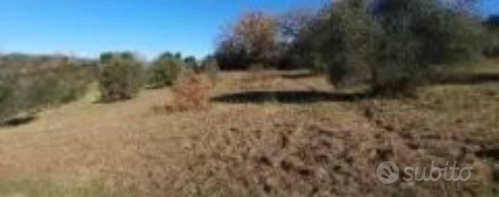 Immobile in asta di 37170 m² a Baschi - Vista 2