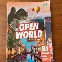 Open world b1