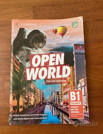 Open world b1