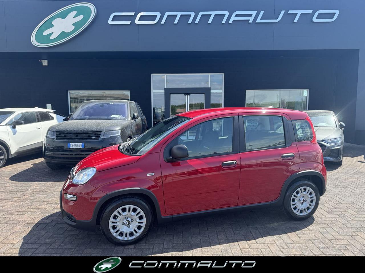Subito - COMMAUTO - FIAT Panda 1.0 FireFly S&S Hybrid 70CV - Auto In ...