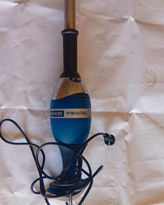 frullatore a immersione mixer professionale 