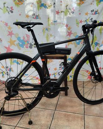 Triestina Hybrid Misura L