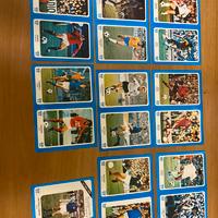17 figurine argentina 78