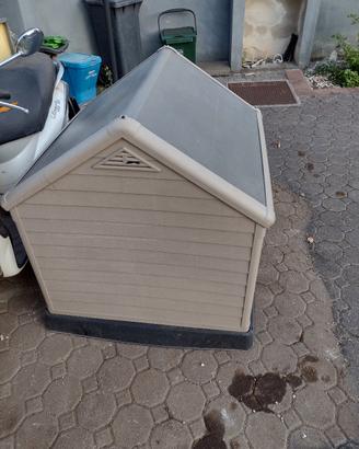 cuccia per cani grandi 