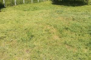 Terreno agricoli a Nepi Vt