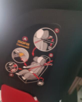seggiolino pet perego