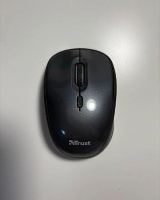 Mouse wireless Trust