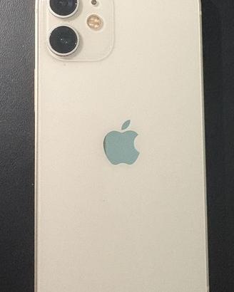 Iphone 12 mini (perfetto)