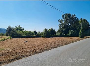 Vendita terreno agricolo