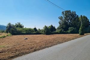 Vendita terreno agricolo