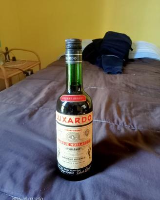 Cherry Brandy Luxardo Sangue Morlacco prezzo trat