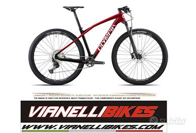 Olympia Iron pro carbon SHIMANO XT 12V