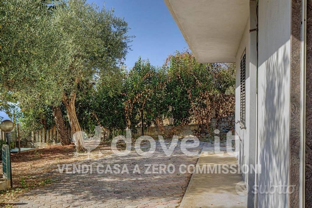 Appartamento – Francavilla Angitola, Olivara - Vista 2