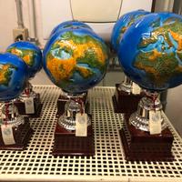 Coppe da premiazione