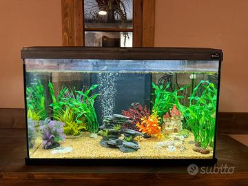 Acquario 60 litri