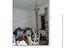 Immagine 13