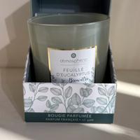Candela profumata al feuille d'eucalyptus