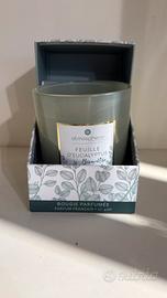 Candela profumata al feuille d'eucalyptus