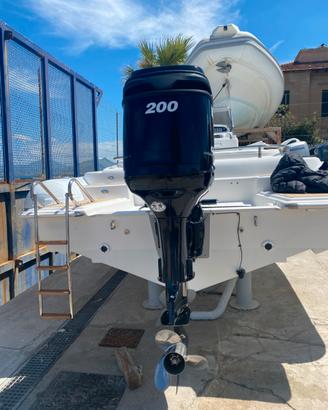 Fuoribordo Mercury Optimax 200 XL