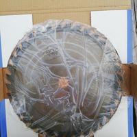 Lama widiam per sega circolare