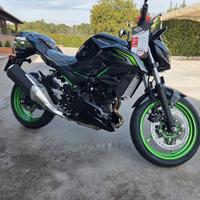 Kawasaki Z 500 SE My 2026 Pronta Consegna
