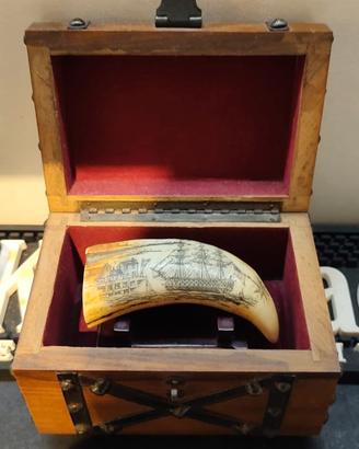Replica di scrimshaw con Bauletto compreso