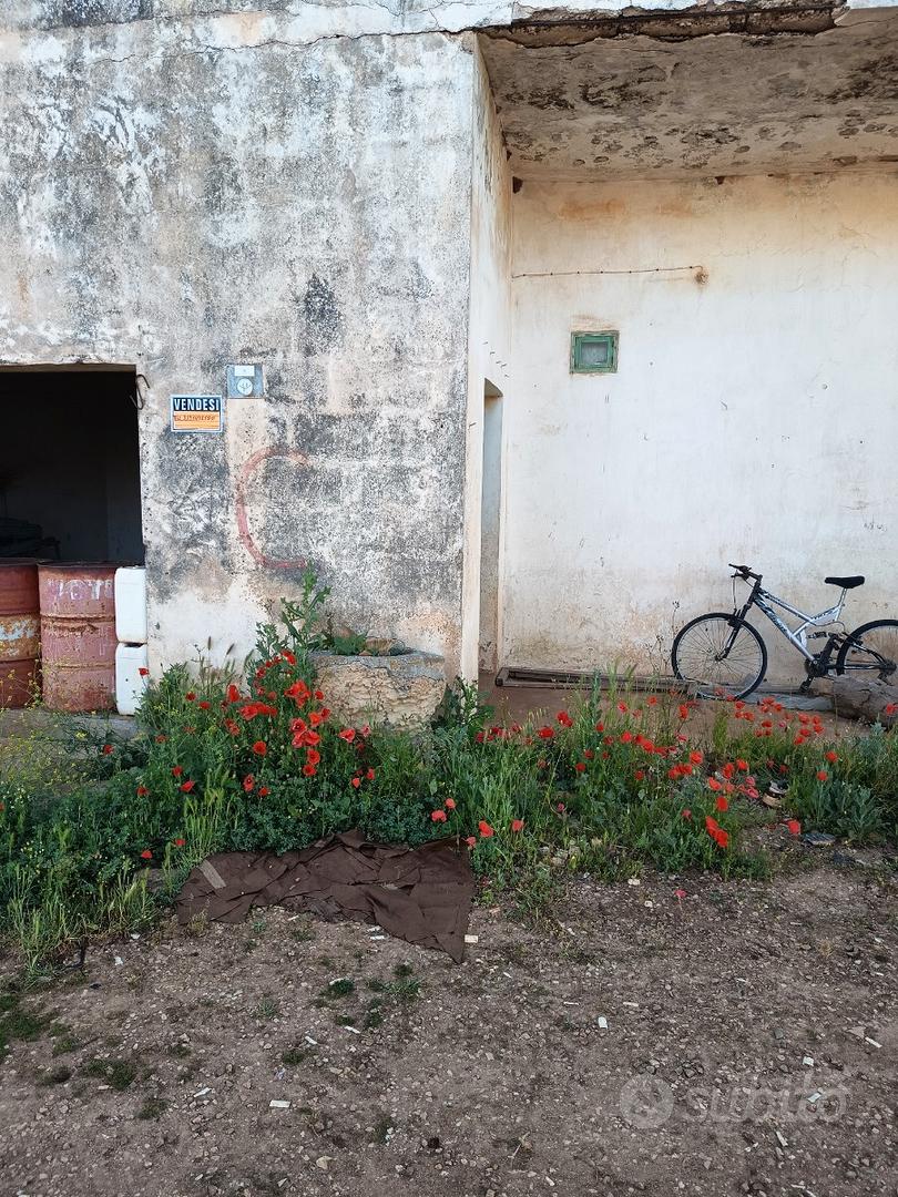Vendita az.agricola - Vista 5
