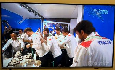 Tv Panasonic 55 pollici