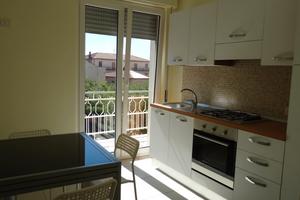 Camera singola nuova a ragazze