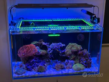 Profilo antisalto Reefteek acquario marino 80x45