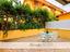 Immagine 16