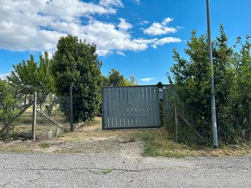 Vendita terreno zona pisana\regione lazio