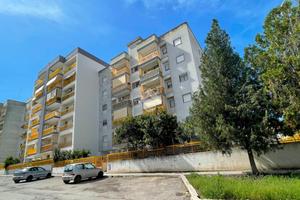 3 LOCALI A CANOSA DI PUGLIA