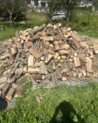 Legna  secca  da ardere per stufa e camino